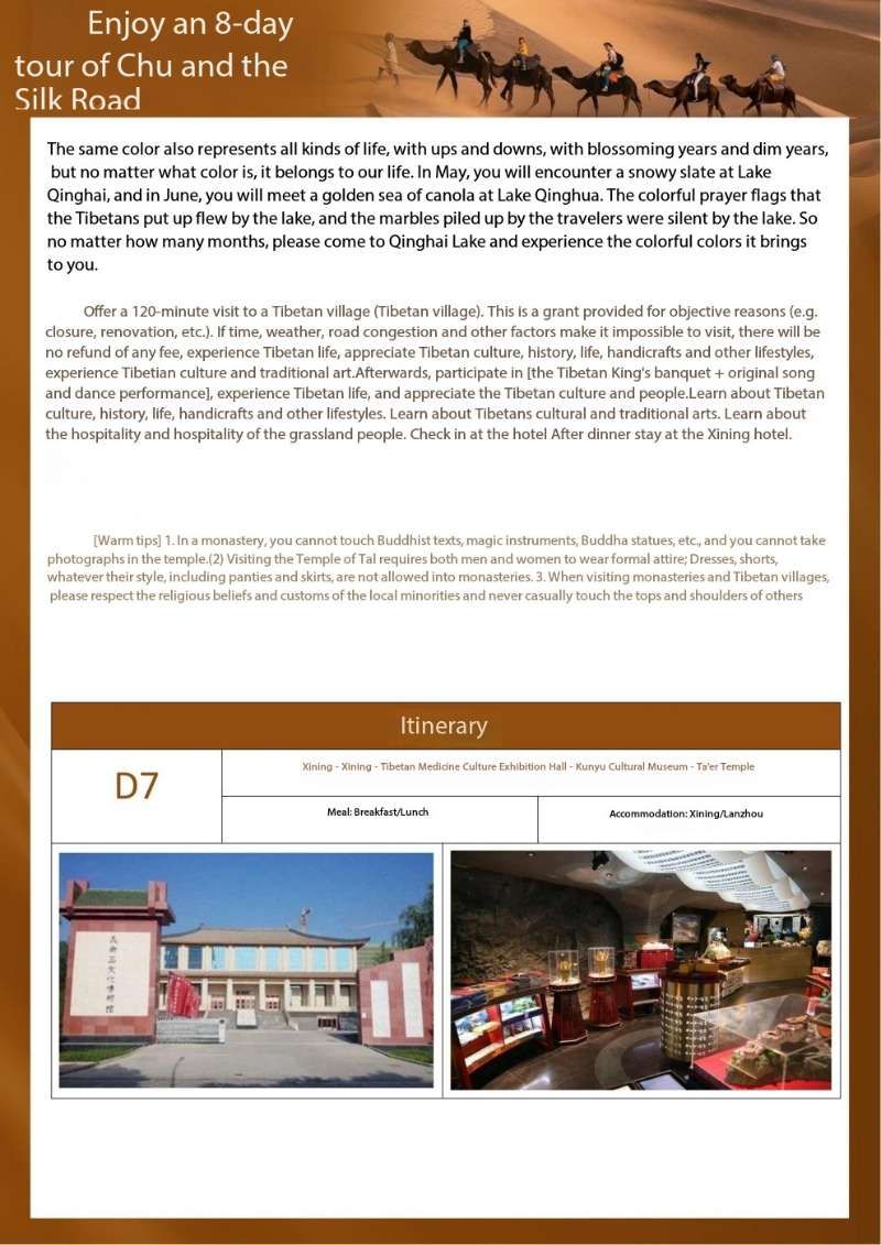 vip梵游丝路 畅享八日游 共赴千年之旅