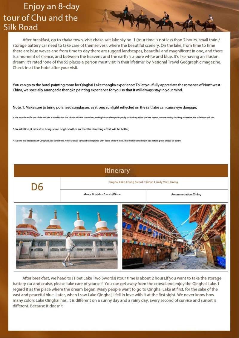 vip梵游丝路 畅享八日游 共赴千年之旅